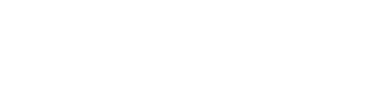 BRAND FORCE